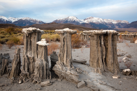 Mono Basin National Forest Scenic Area
