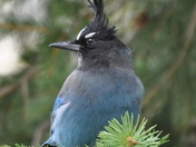 Rocky Mountain National Park