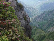 Great Smoky Mountains National Park