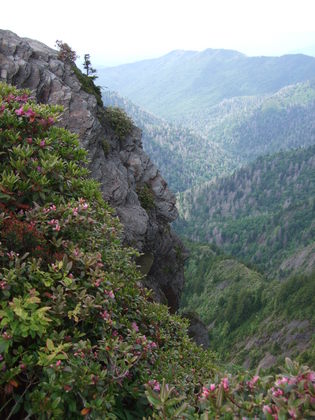 Great Smoky Mountains National Park