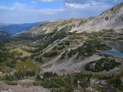 Roosevelt National Forest