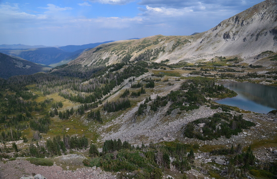 Roosevelt National Forest
