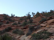 Mt. Zion National Park
