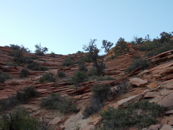 Mt. Zion National Park