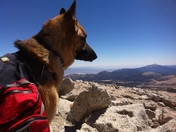 Inyo National Forest