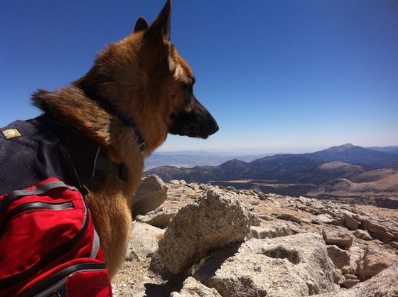 Inyo National Forest