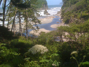 Olympic National Park / Ruby Beach