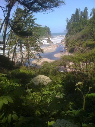 Olympic National Park / Ruby Beach