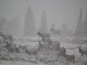 Grand Tetons National Park