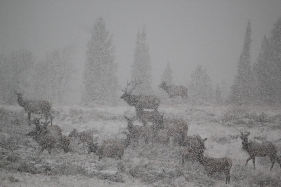 Grand Tetons National Park