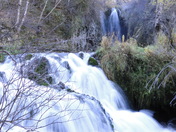 Black Hills Natl Forest