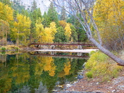 Yosemite National Park