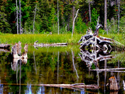 Glacier National Park