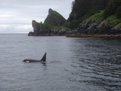Kenai Fjords National Park, Alaska