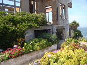 Alcatraz Island