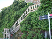 Alcatraz Island