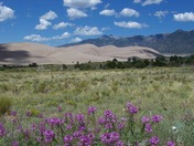 Great Sand Dunes National Park