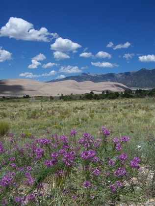 Great Sand Dunes National Park