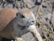 Badlands National Park