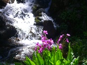 Collegiate Peaks Wilderness