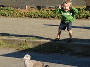 Point Reyes, Drakes Beach
