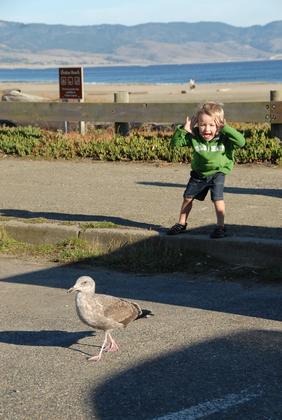 Point Reyes, Drakes Beach