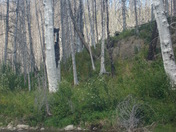 Glacier National Park