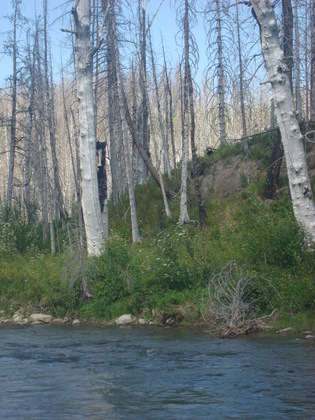 Glacier National Park