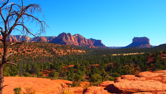 Sedona 