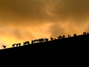 Rocky Mountain National Park
