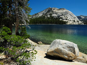 Yosemite National Park