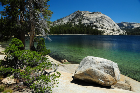 Yosemite National Park