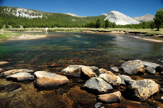 Yosemite National Park