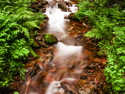 Glacier National Park