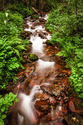 Glacier National Park