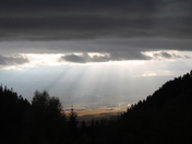 Bridger National Forest