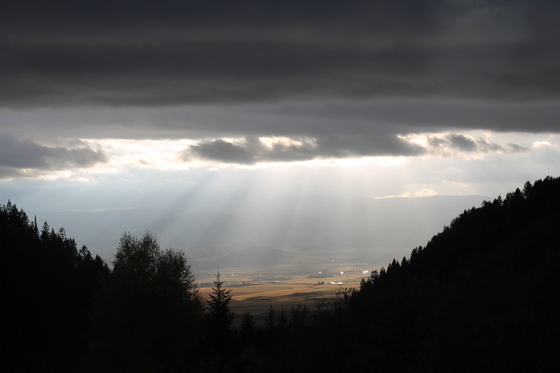 Bridger National Forest