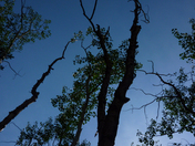 Rocky Mountain National Park