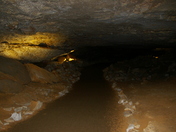 Mammoth Cave National Park