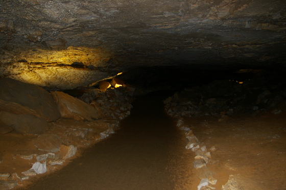 Mammoth Cave National Park