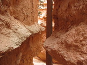 Bryce Canyon N.P.