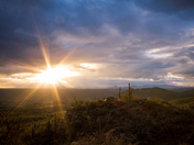 Coronado National Forest