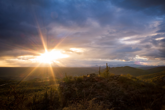 Coronado National Forest