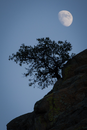 Coronado National Forest