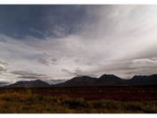 Denali National Park
