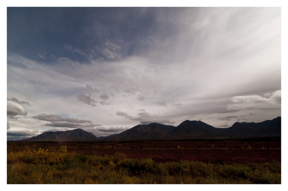 Denali National Park