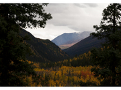 Denali National Park