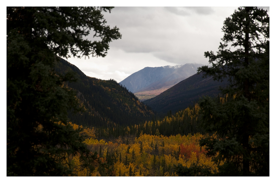 Denali National Park