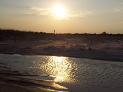 Cape lookout national seashores