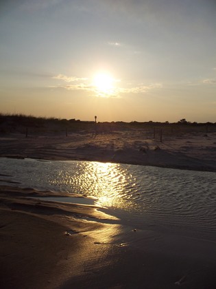 Cape lookout national seashores